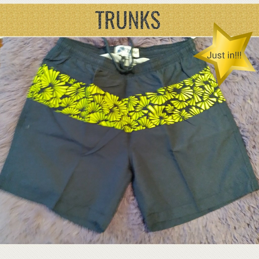 "TRUNKS" Mens brand swim trunks